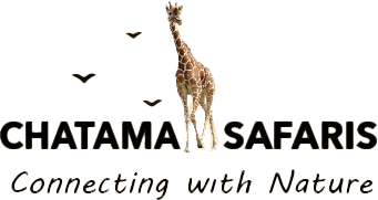 Chatama Safaris