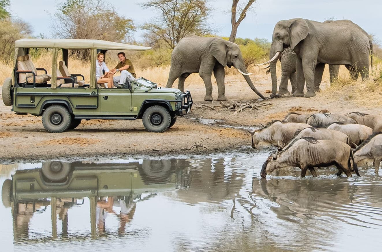 Classic Tanzania safari vehicle beside elephants and wildebeest at a waterhole